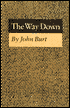 The Way Down by John Burt: Book Cover