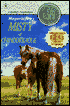 Misty of Chincoteague