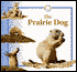 The Prairie Dog
