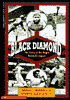 Black Diamond: The Story of the Negro Baseball Leagues