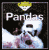 Pandas