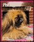 Pekingese: Everything about Adoption, Purchase, Care, Nutrition, Behavior, & Training