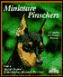 Miniature Pinschers: Everything About Purchase, Care, Nutrition, Breeding, Behavior, & Training with Color Photos