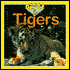 Baby Animals: Tigers
