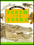 Teeth and Tusks