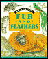 Fur and Feathers