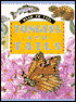 Tongues and Tails