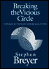 Breaking the Vicious Circle: Toward Effective Risk Regulation