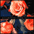 All-America Roses