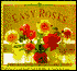 Easy Roses: Old and New: Simple Secrets for Glorious Gardens, Indoors and Out