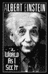 The World As I See It