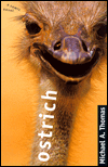 Ostrich