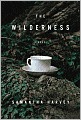 The Wilderness