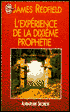 L'expérience de la dixième prophétie (The Tenth Insight - Holding the Vision - An Experiential Guide)