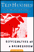 Difficulties of a Bridegroom: Stories