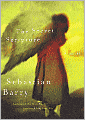 The Secret Scripture