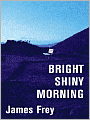 Bright Shiny Morning