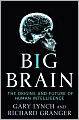 Big Brain: The Origins and Future of Human Intelligence