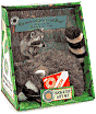 Raccoon at Clear Creek Road (Smithsonian's Backyard Series)