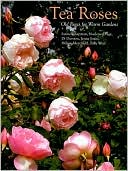 Tea Roses: Old Roses for Warm Gardens