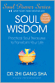 Soul Wisdom: Practical Soul Treasures To Transform Your Life (Includes MP3 Download)