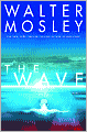 The Wave