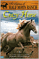 Crazy Horse (Horses of Half Moon Ranch Series #3)