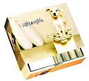 Lightweights Note Cards