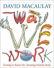 The Way We Work: Getting to Know the Amazing Human Body