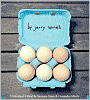Eggs