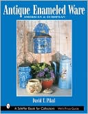 download Antique Enameled Ware : American and European book