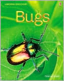 Bugs (Usborne Discovery Series)