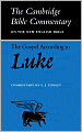 The Gospel according to Luke