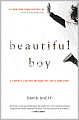 Beautiful Boy: A Father's Journey through His Son's Addiction