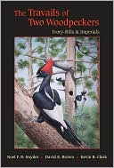 The Travails of Two Woodpeckers: Ivory-Bills and Imperials