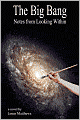 The Big Bang: Notes from Looking Within