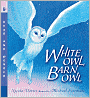 White Owl, Barn Owl (Read and Wonder Series)