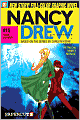 Tiger Counter (Nancy Drew Graphic Novel Series #15)