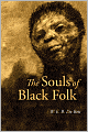 The Souls of Black Folk