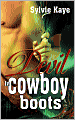 Devil In Cowboy Boots
