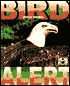 Bird Alert
