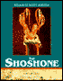The Shoshone - Southwest