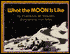 What the Moon Is Like