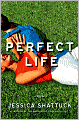 Perfect Life: A Novel