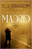 Winter in Madrid