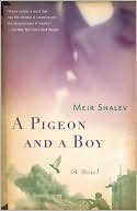 A Pigeon and a Boy