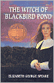 The Witch of Blackbird Pond