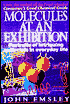 Molecules at an Exhibition : Portraits of Intriguing Materials in Everyday Life
