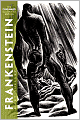 Frankenstein: The Lynd Ward Illustrated Edition