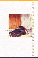 Hurry down Sunshine: A Father's Memoir of Love and Madness